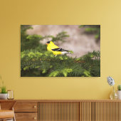 木の中のアメリカ人のゴールドフィンチの男性 キャンバスプリント (インサイチュ (リビング))