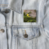 木の中のアメリカ人のゴールドフィンチの男性 缶バッジ (インサイチュ)