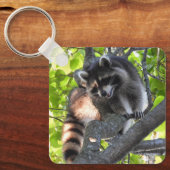 木の中のアライグマ キーホルダー (正面)