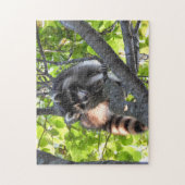 木の中のアライグマ ジグソーパズル (縦)