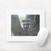 木の中のアライグマ マウスパッド (マウス)