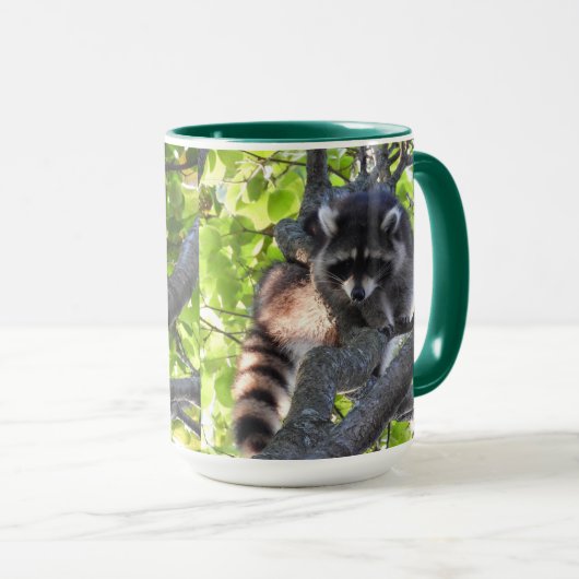 木の中のアライグマ マグカップ (正面右)