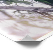 木の中のコアラ ポスター (角)