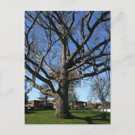 木の中のスキー ポストカード (正面)