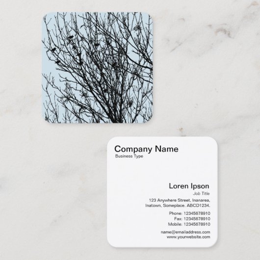 木の中のスターリング – 青淡い色のD3E5EFの上の黒 スクエア名刺 (正面/裏面)