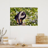 木の中のダイアナモンキー ポスター (キッチン)