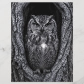 木の中のフクロウ黒白スクラップブック紙 (裏面)
