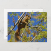 木の中のリス ポストカード (正面/裏面)