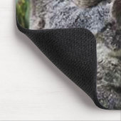 木の中の三つのコアラ マウスパッド (コーナー)