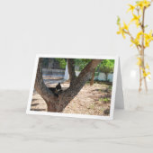 木の中の亀の子 カード (黄色い花)