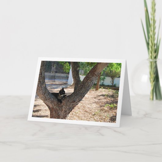 木の中の亀の子 カード (正面)