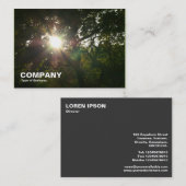 木の中の太陽 名刺 (正面/裏面)