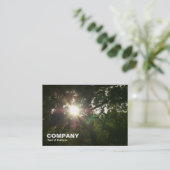 木の中の太陽 名刺 (スタンド正面)