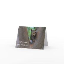 木の中の孤独なリス、私は恋しく思あなた