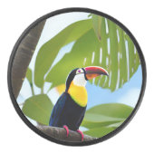 木の中の熱帯のトカン アイスホッケーパック (正面)