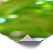 木の中の猫 ポスター (角)