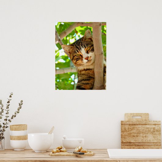 木の中の猫 ポスター (キッチン)