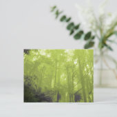 「木の中の精神」写真はがき ポストカード (スタンド正面)