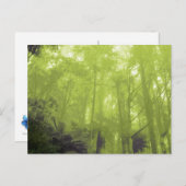 「木の中の精神」写真はがき ポストカード (正面/裏面)