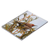 木の中の雄の赤いシャフトの北フリッカ ノートブック (左側)