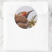 木の中の雄の赤いシャフトの北フリッカ ラウンドシール (バッグ)