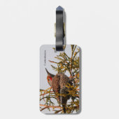 木の中の雄の赤いシャフトの北フリッカ ラゲッジタグ (裏面縦)