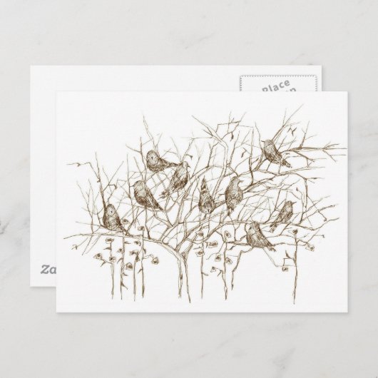 木の中の鳥セピアペンとインクスケッチ ポストカード (正面/裏面)