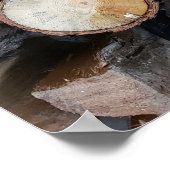 木の丸太オリジナル自然写真 ポスター (角)