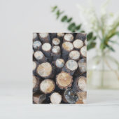 木の丸太オリジナル自然写真 ポストカード (スタンド正面)