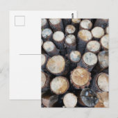 木の丸太オリジナル自然写真 ポストカード (正面/裏面)