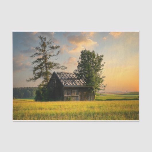 『木の保護半分完成した納屋』 薄葉紙 (正面)