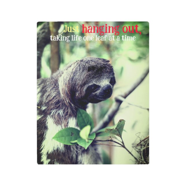 木の写真のナマケモノ メタルプリント (正面)