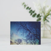 木の写真撮影 ポストカード (スタンド正面)
