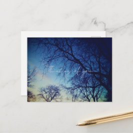 木の写真撮影 ポストカード