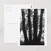 木の写真 - アルデン ポストカード (正面/裏面)