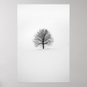 木の写真 ポスター (正面)