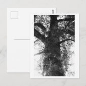 木の写真 - Treow ポストカード (正面/裏面)