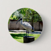 木の切り株にビン・チキン（イビス） 缶バッジ (正面)