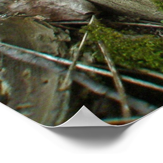 木の切り株のポスターシェルフ菌 ポスター (角)