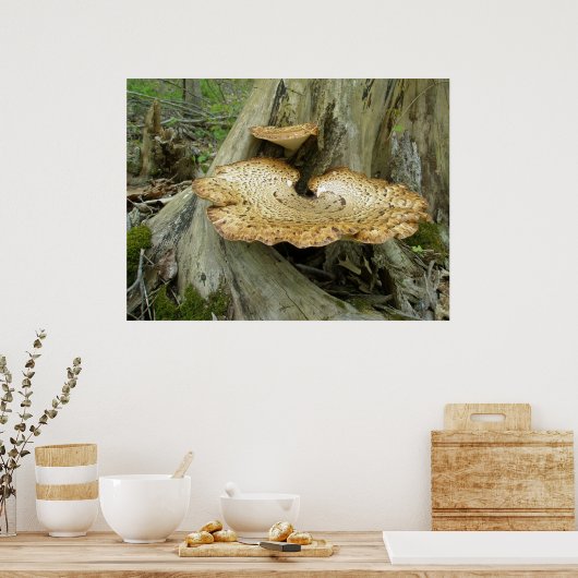 木の切り株のポスターシェルフ菌 ポスター (キッチン)