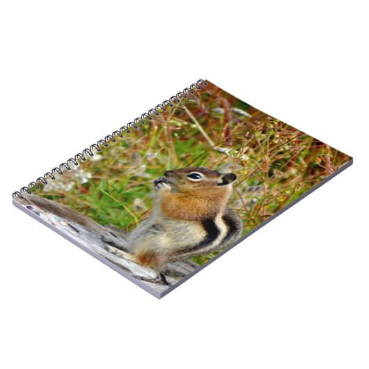 木の切り株の上に丸々とかわいらしいチムンク ノートブック (左側)