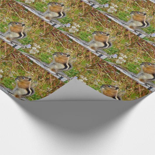 木の切り株の上に丸々とかわいらしいチムンク ラッピングペーパー (角)