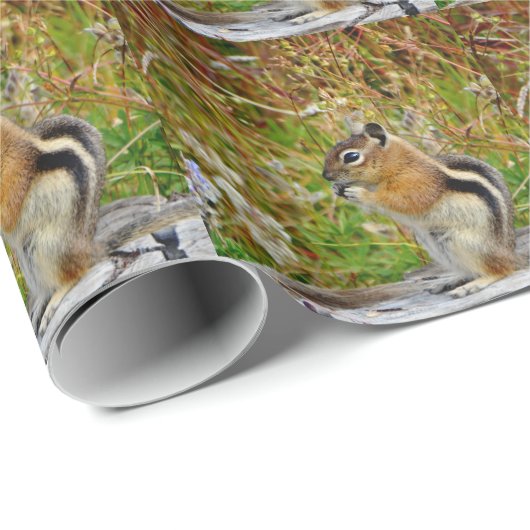 木の切り株の上に丸々とかわいらしいチムンク ラッピングペーパー (ロールコーナー)