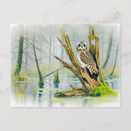 木の切り株の上に短い耳のフクロウ シーズンポストカード