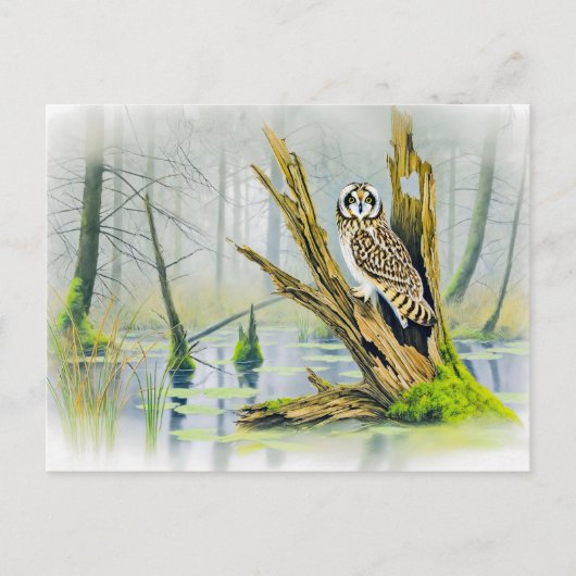 木の切り株の上に短い耳のフクロウ シーズンポストカード (正面)