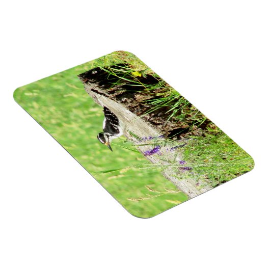 木の切り株の磁石のダウンした木のペッカー マグネット (右側)