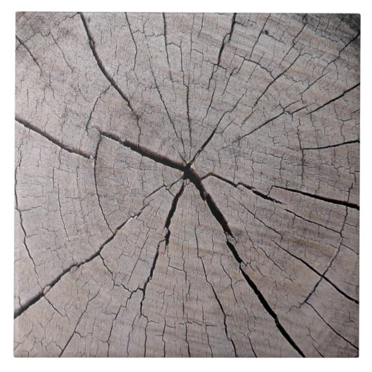 木の切り株の素朴な背景自然 タイル (正面)