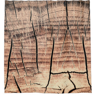 木の切り株の背景、年齢、年齢、年齢  シャワーカーテン