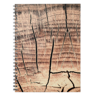 木の切り株の背景、年齢、年齢、年齢 ノートブック