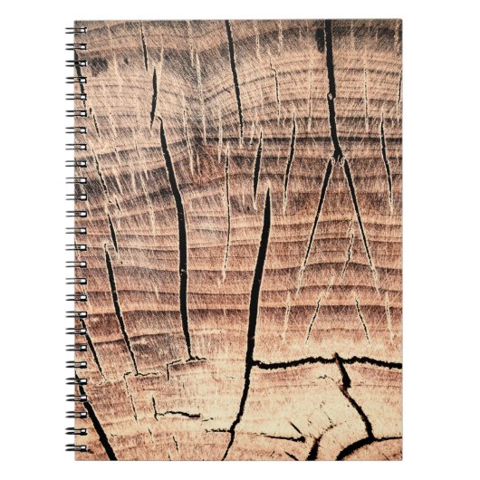 木の切り株の背景、年齢、年齢、年齢 ノートブック (正面)